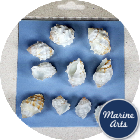 8855-P8 - Craft Pack - White Iced Gems